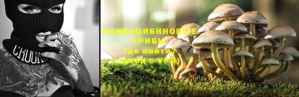 винт Алзамай