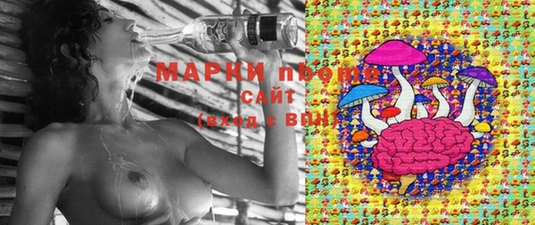 прущие крисы Алексеевка