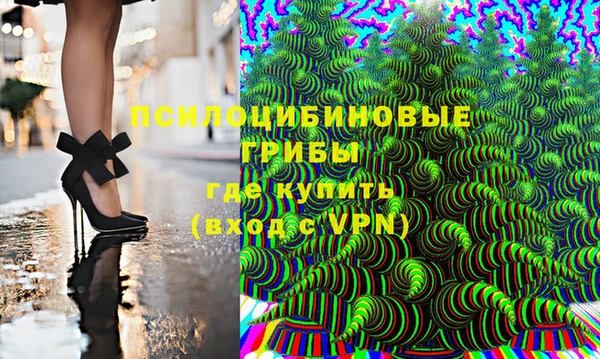 тгк Алексин