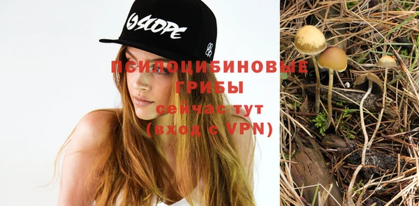 прущие крисы Алексеевка